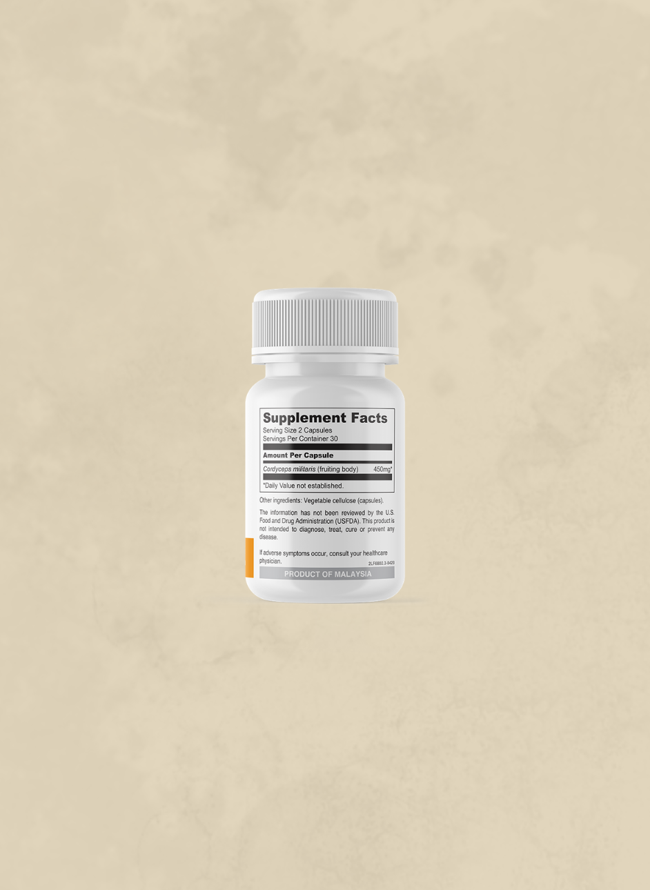 BODY Cordyceps Capsules thumbnail 3